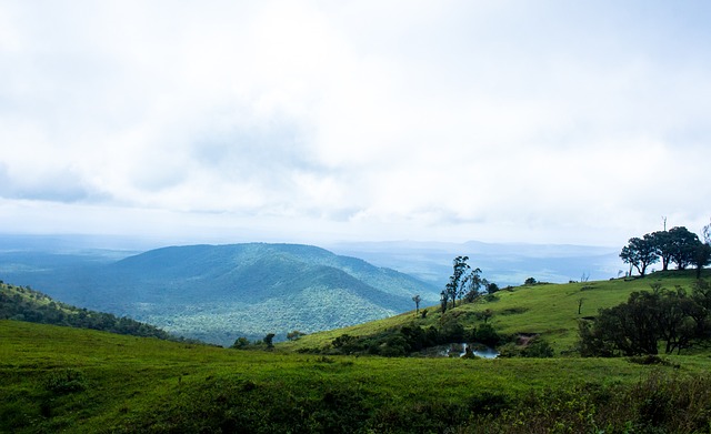 位有前瞻性 位有前瞻性