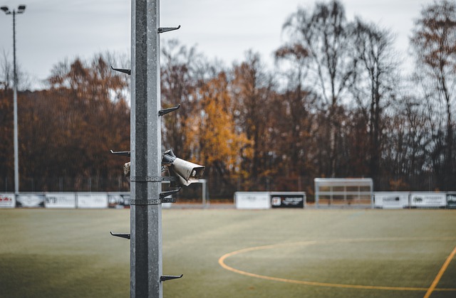 适应能力 适应能力