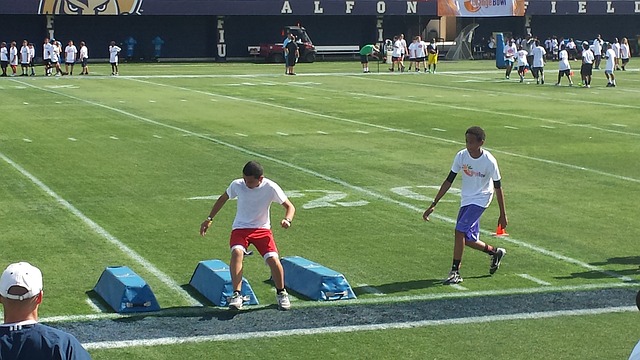 的蓝狮如今 的蓝狮如今