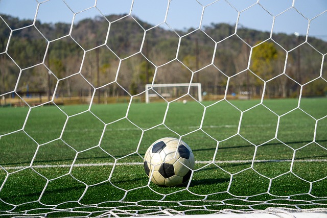 北青：久尔杰维奇将赴京汇报，足协将对其去留问题进行研判.