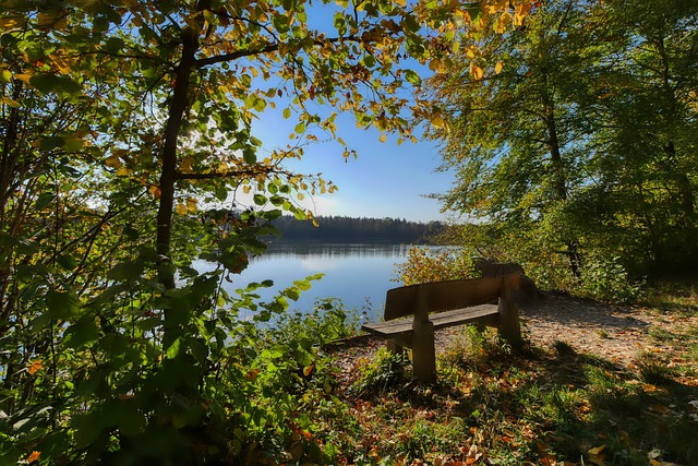 在新赛季具 在新赛季具